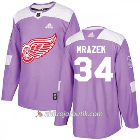 Män Ishockey Detroit Red Wings Tröja Petr Mrazek 34 Adidas 2017-2018 Lila Fights Cancer Practice Authentic